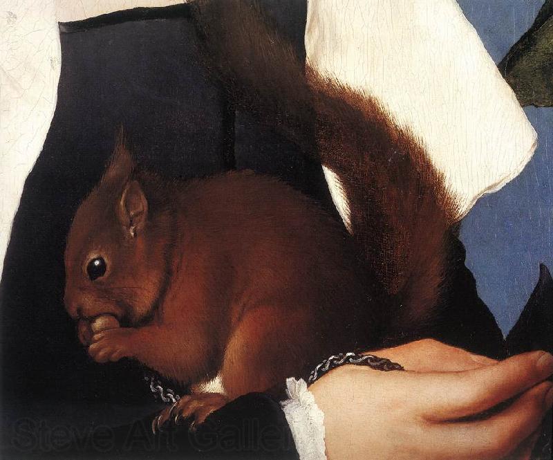 HOLBEIN, Hans the Younger Portrait of a Lady with a Squirrel and a Starling (detail) sf France oil painting art